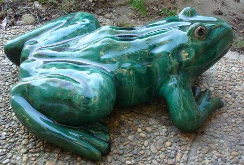 La patte de la grenouille une fois le travail de restauration terminé